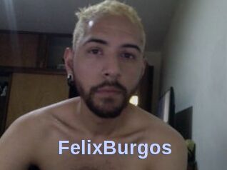 FelixBurgos