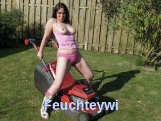 Feuchteywi