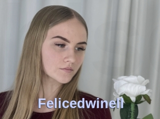 Felicedwinell