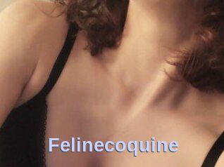 Felinecoquine