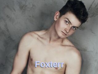 Foxterr