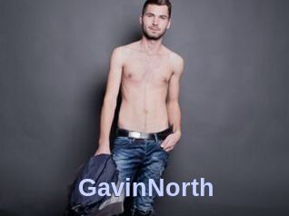 GavinNorth