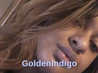 GoldenIndigo