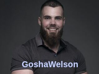 GoshaWelson