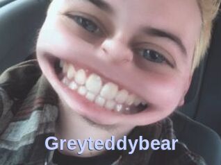 Greyteddybear