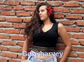 Gabyharvey