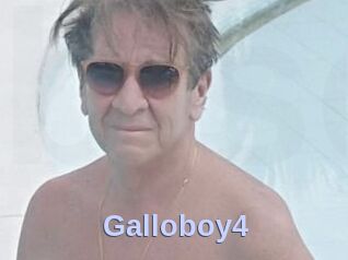 Galloboy4