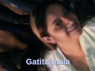 Gatita_mala