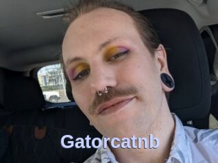 Gatorcatnb