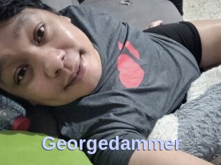 Georgedammer