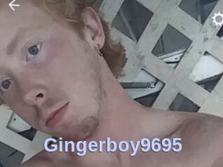 Gingerboy9695