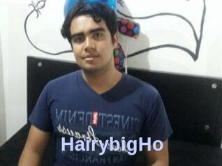HairybigHo