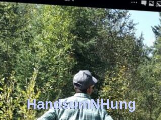 HandsumNHung