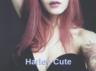Harley_Cute