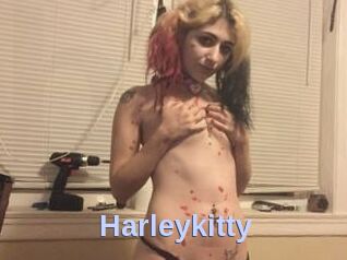 Harleykitty