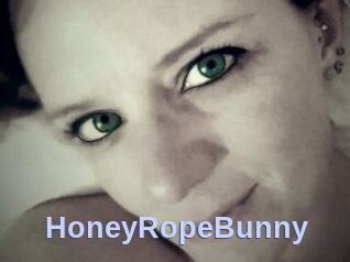 HoneyRopeBunny
