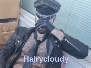 Hairycloudy