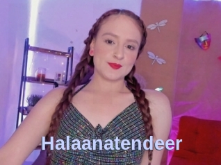 Halaanatendeer