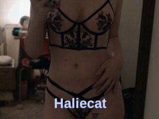 Haliecat