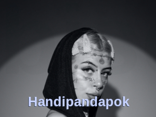 Handipandapok