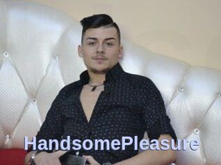 HandsomePleasure