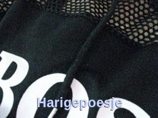 Harigepoesje