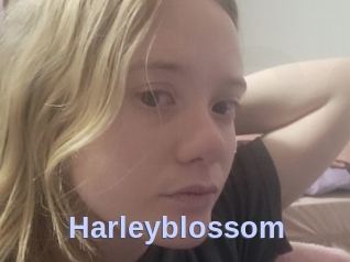 Harleyblossom