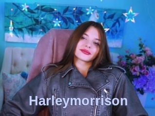 Harleymorrison