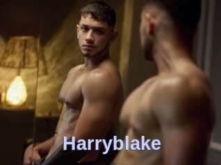 Harryblake