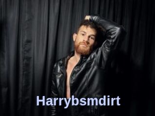 Harrybsmdirt