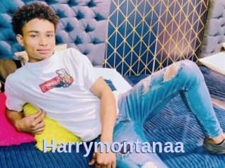 Harrymontanaa