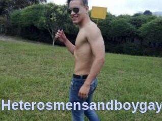 Heterosmensandboygay