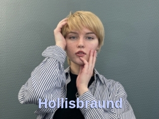 Hollisbraund