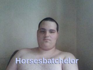 Horsesbatchelor