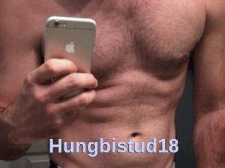 Hungbistud18