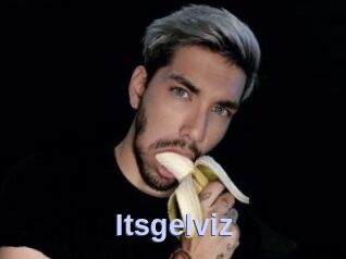 Itsgelviz