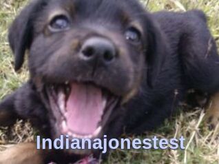 Indianajonestest