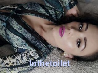 Inthetoilet