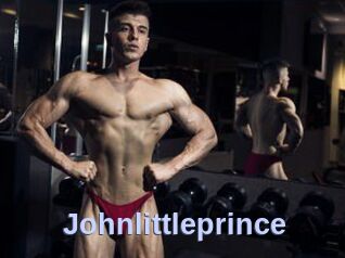 Johnlittleprince