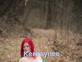 Kerosynee