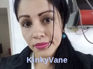 KinkyVane