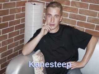 Kanesteep