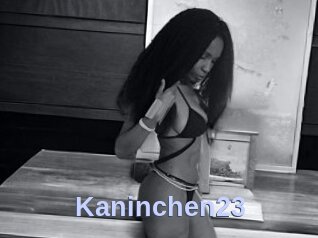 Kaninchen23