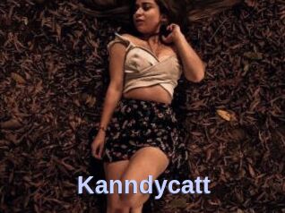 Kanndycatt