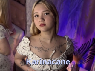 Karinacane
