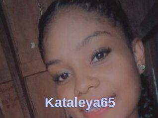 Kataleya65