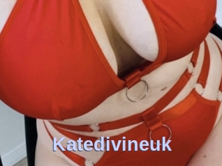 Katedivineuk