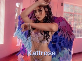 Kattrose