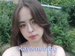 Kaylenebrog