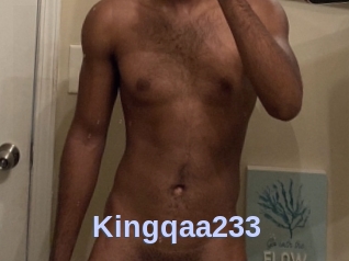 Kingqaa233